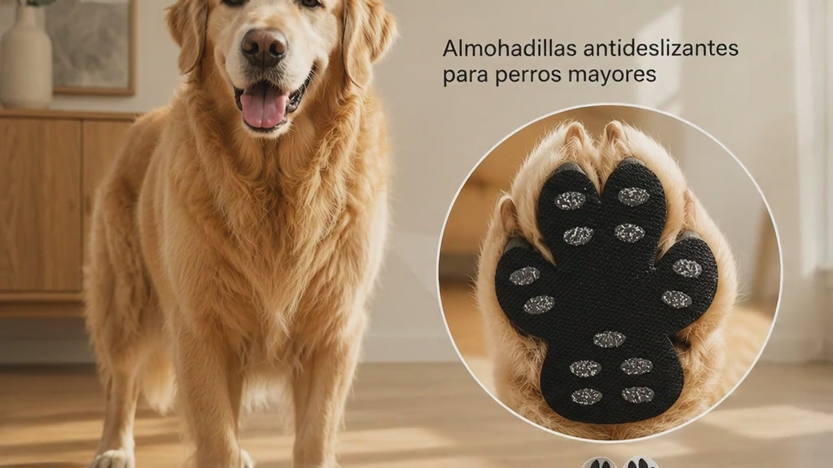 GRIPS ANTIDESLIZANTES PARA PATAS DE PERRO